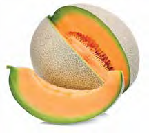 Muskmelon