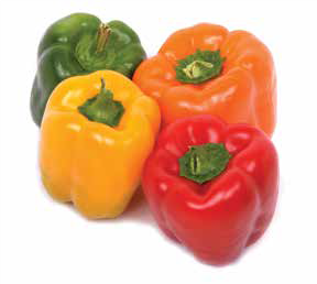 multicolored pepper fruit