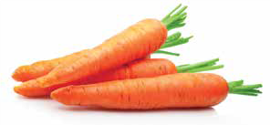 carrot roots