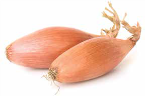 onion bulbs