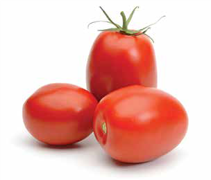 tomato fruit