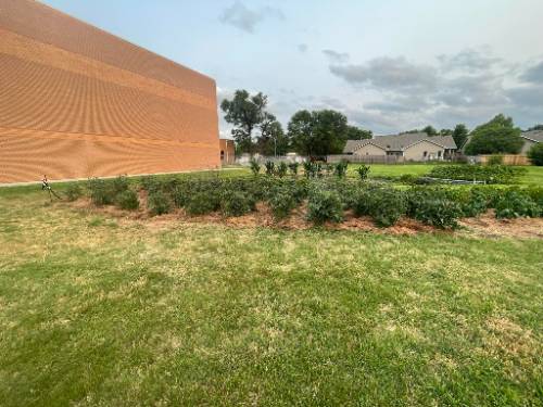 Vegetable Garden